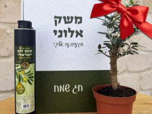 אריזת מתנה לט"ו בשבט!