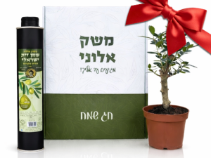 אריזת מתנה לט"ו בשבט!